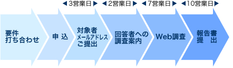 ご要望のヒアリング,申込,対象者メールアドレスご提出,回答者への調査案内,web調査,報告書提出