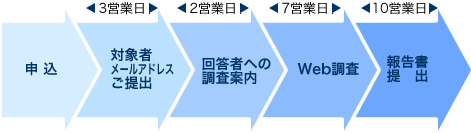 ご要望のヒアリング,申込,対象者メールリストご提出,回答者への調査案内,web調査,報告書提出